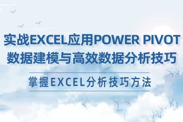 实战Excel应用Power Piv