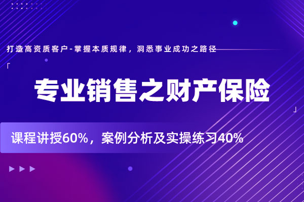 专业销售之财产保险