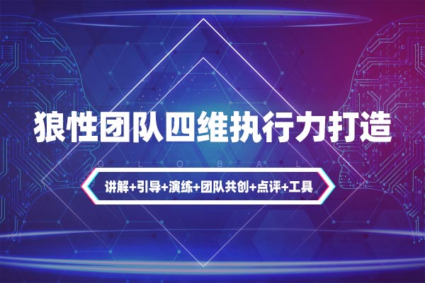 请给我结果—狼性团队四维执行力打造
