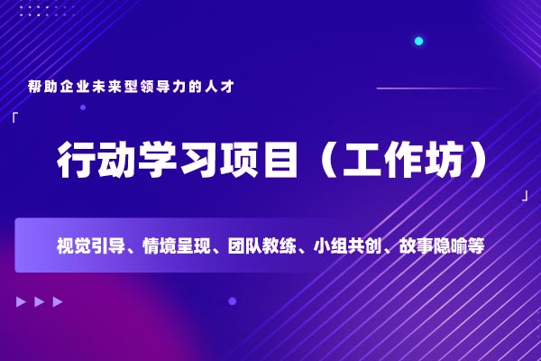 行动学习项目（工作坊）