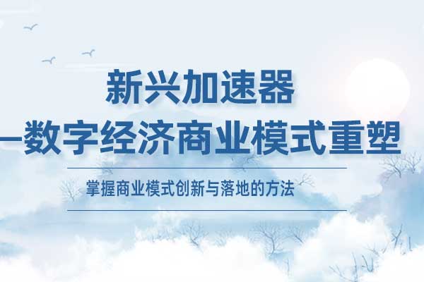 新兴加速器—数字经济商业模式重塑