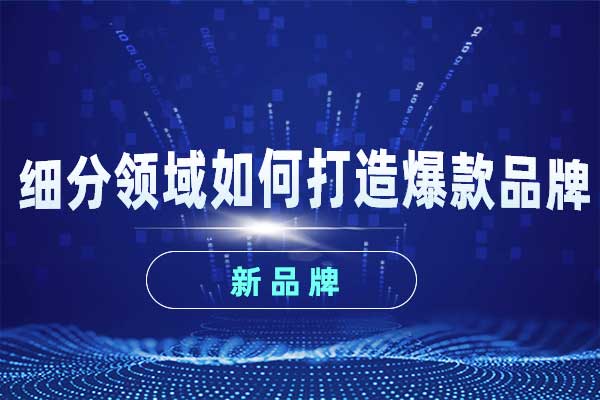 新品牌—细分领域如何打造爆款品牌