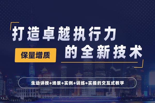 进阶执行力：打造卓越执行力的全新技术