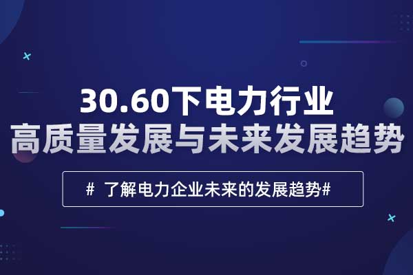 30.60下电力行业高质量发展与未来