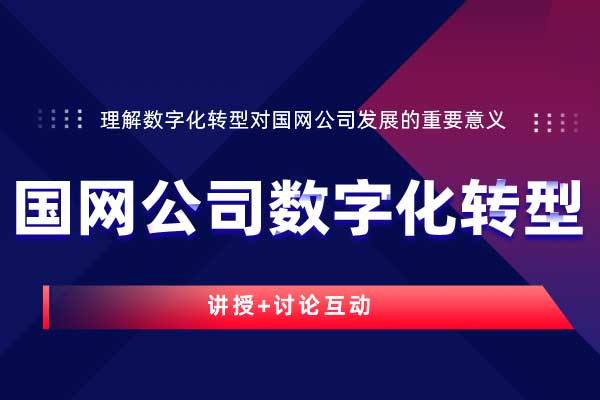 国网公司数字化转型