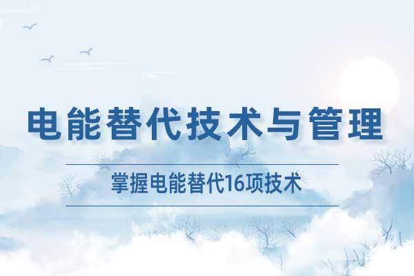 电能替代技术与管理