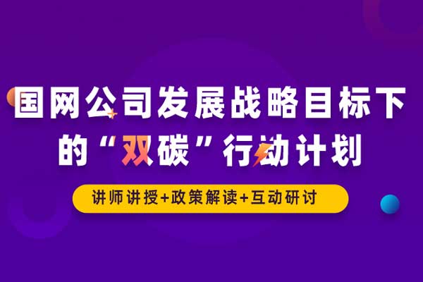 国网公司发展战略目标下的“双碳”行动计划