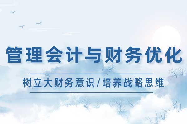 管理会计与财务优化
