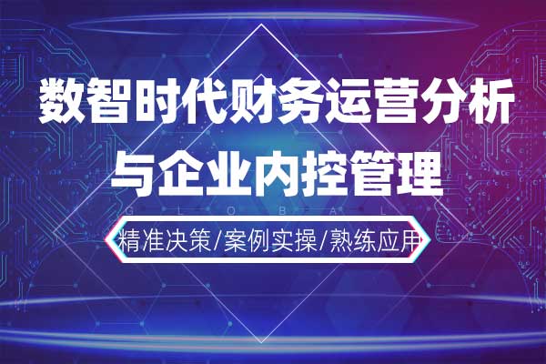数智时代财务运营分析与企业内控管理