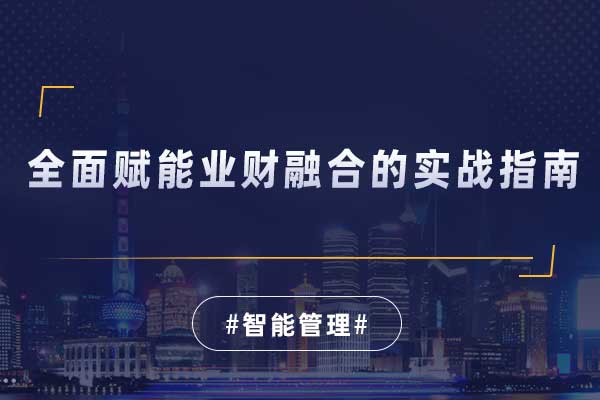 智能管理—全面赋能业财融合的实战指南