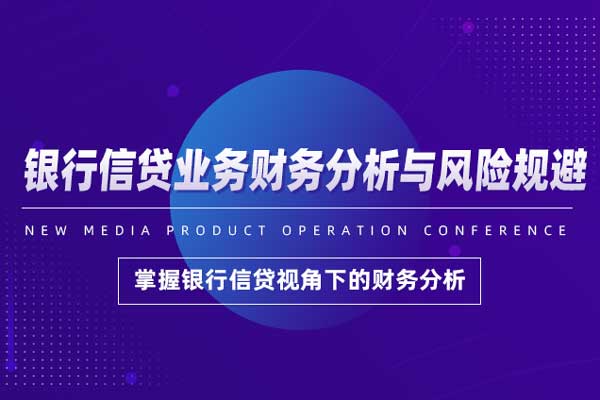 银行信贷业务财务分析与风险规避