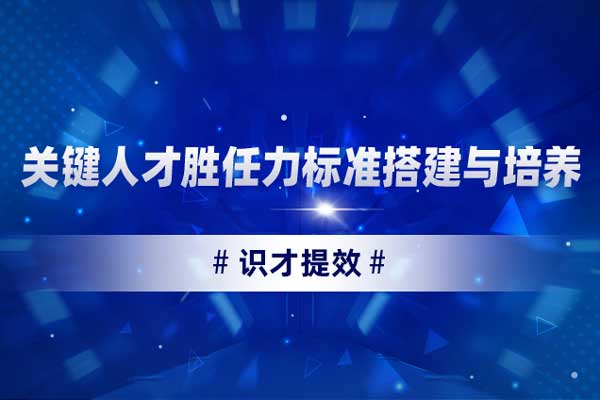 识才提效-关键人才胜任力标准搭建与培