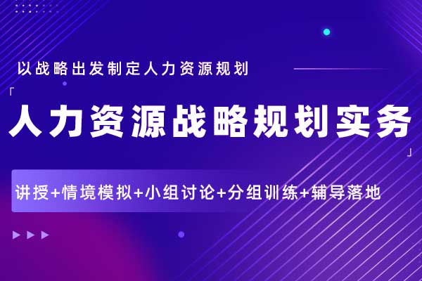 人力资源战略规划实务