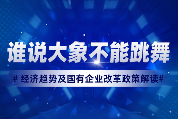 谁说大象不能跳舞-中国高质量发展经济趋势及国有企业改革政策解读