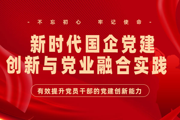 党建创新：新时代国企党建创新与党业融合实