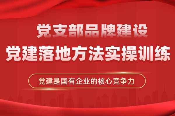 党支部品牌建设（党建+）落地方法实操