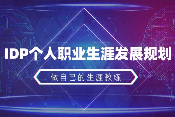 IDP个人职业生涯发展规划