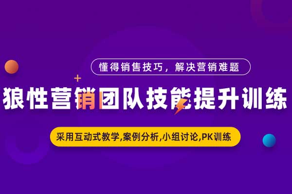 狼性营销团队技能提升训练