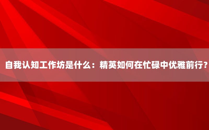 自我认知工作坊是什么：精英如何在忙碌中优