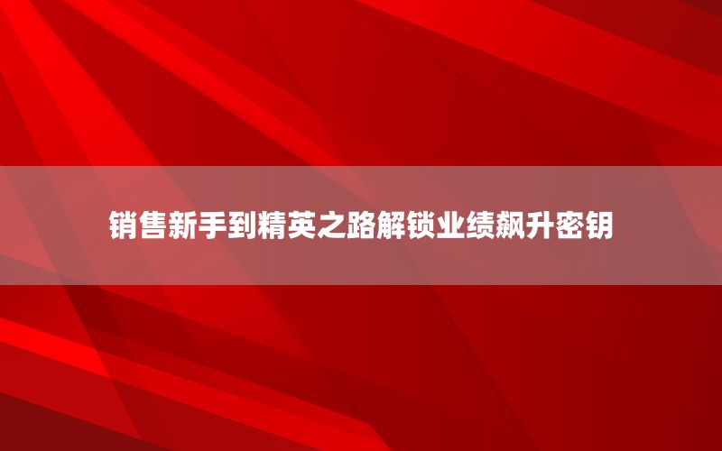 销售新手到精英之路解锁业绩飙升密钥