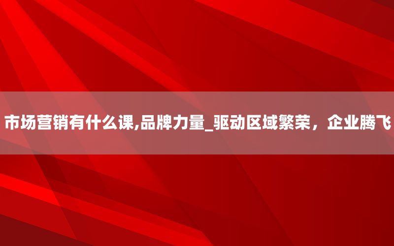 市场营销有什么课,品牌力量_驱动区域