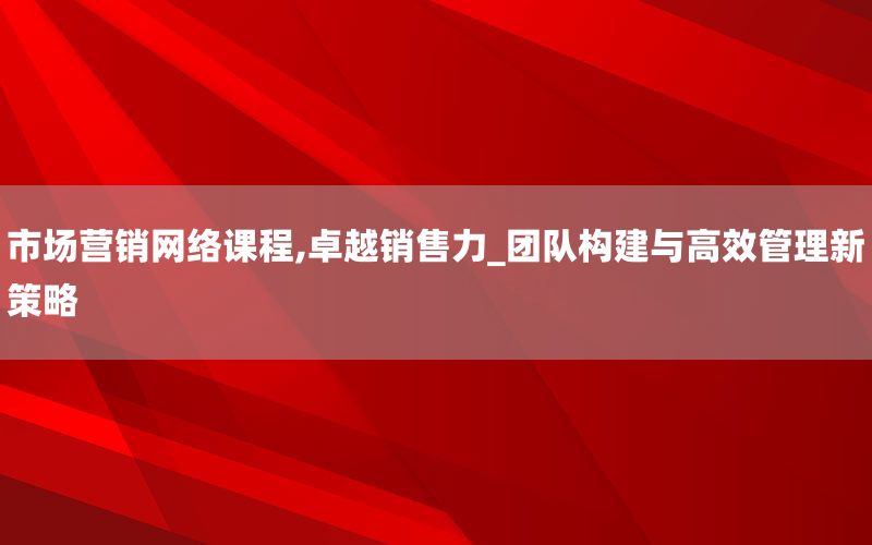 市场营销网络课程,卓越销售力_团队构