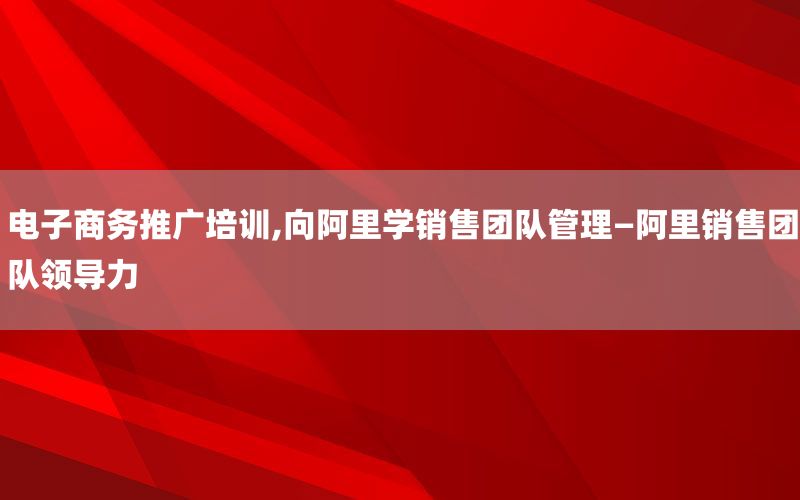 电子商务推广培训,向阿里学销售团队管