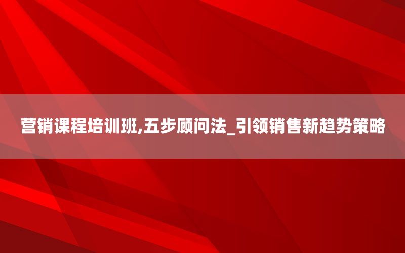 营销课程培训班,五步顾问法_引领销售