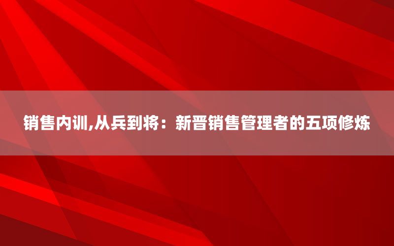 销售内训,从兵到将：新晋销售管理者的