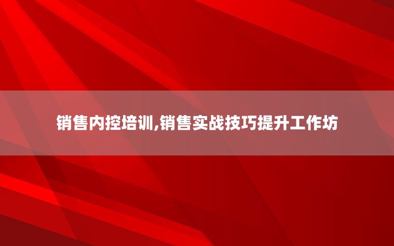 销售内控培训,销售实战技巧提升工作坊