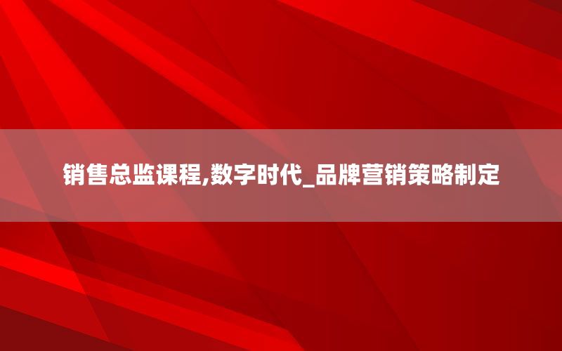 销售总监课程,数字时代_品牌营销策略