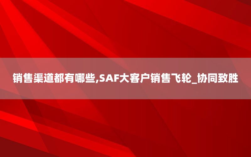 销售渠道都有哪些,SAF大客户销售飞