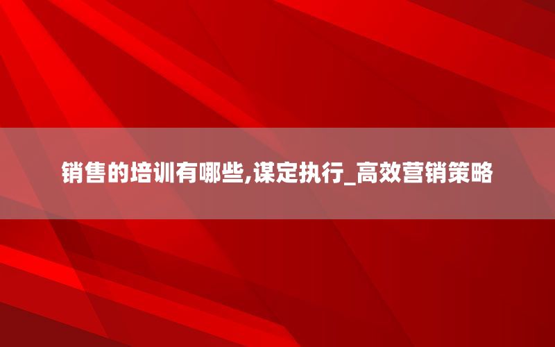 销售的培训有哪些,谋定执行_高效营销
