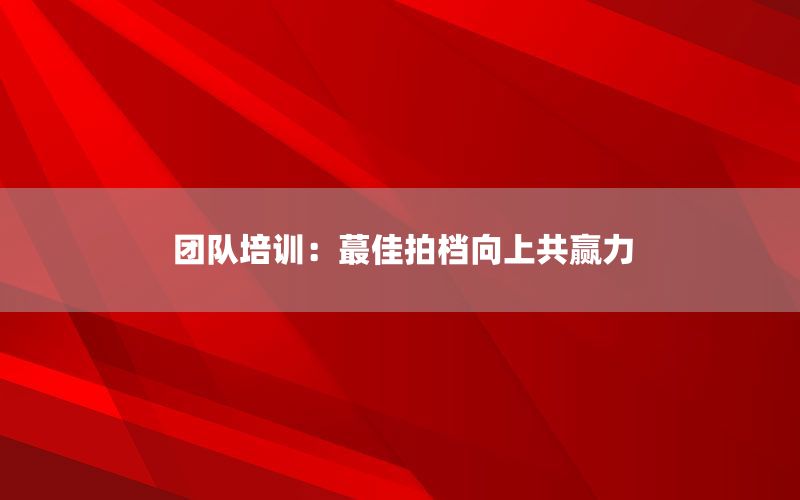 团队培训：蕞佳拍档向上共赢力