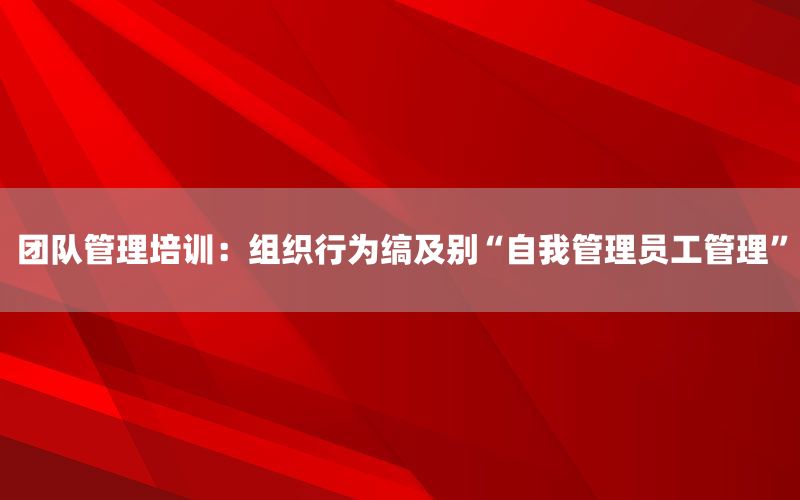 团队管理培训：组织行为缟及别“自我管