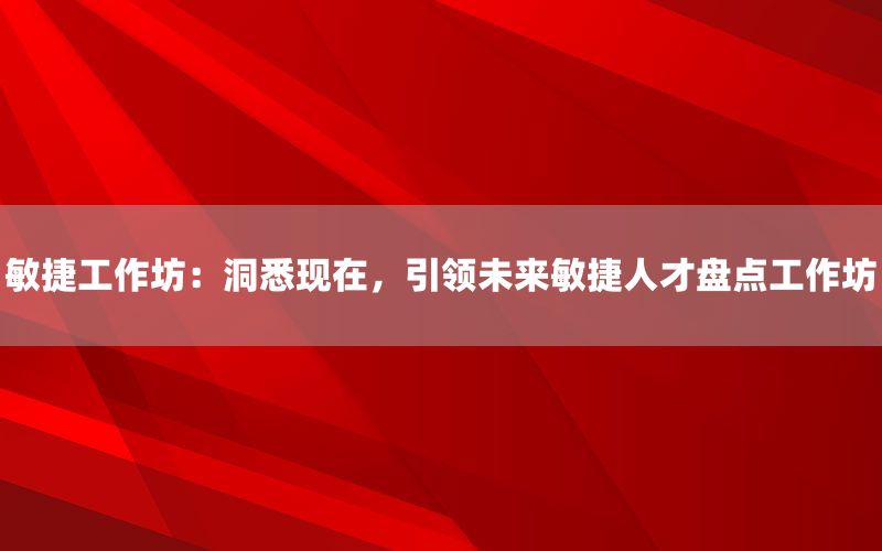 敏捷工作坊：洞悉现在，引领未来敏捷人才盘