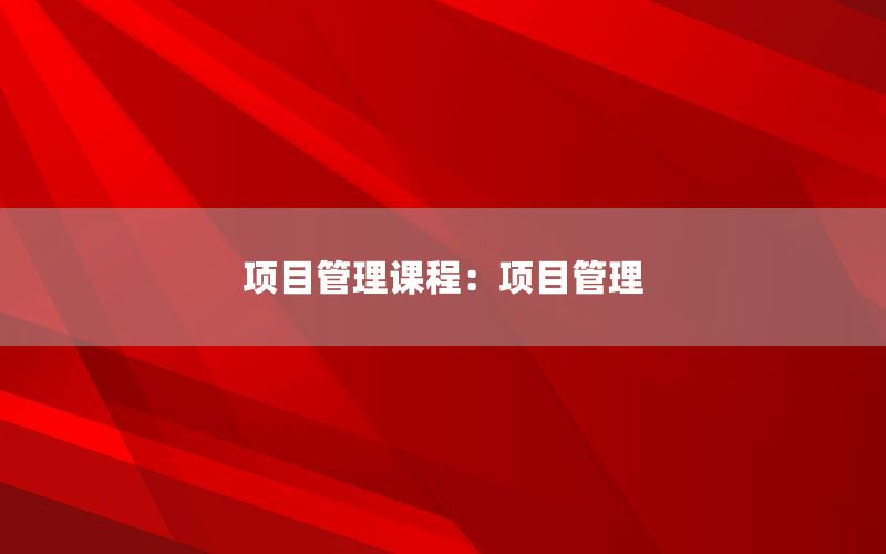 项目管理课程：项目管理