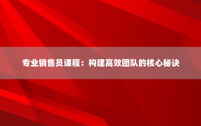 专业销售员课程：构建高效团队的核心秘
