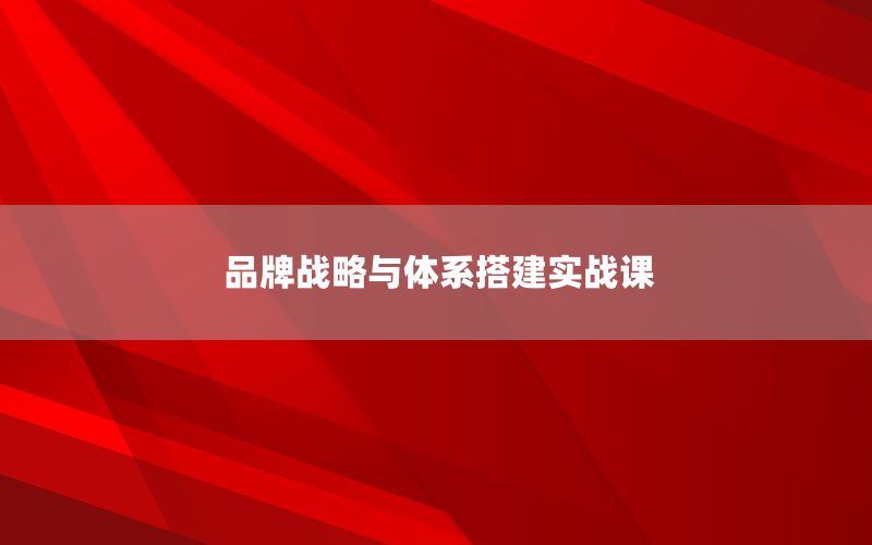 品牌战略与体系搭建实战课