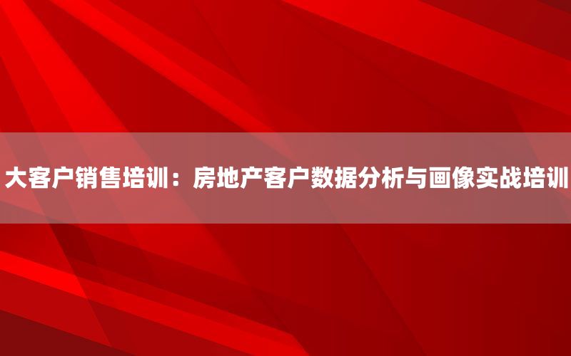 大客户销售培训：房地产客户数据分析与画像